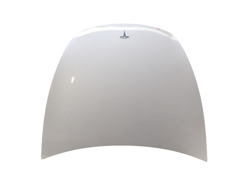Capot pour TESLA MODEL Y 5YJY