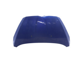 Capot pour FORD B-MAX