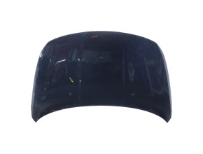 Capot pour FIAT TIPO 2 PHASE 1 Capot pour FIAT TIPO 2 PHASE 1
