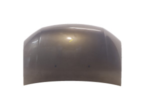 Capot pour DACIA STEPWAY