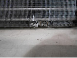 Echangeur air (Intercooler) pour FIAT CROMA 2 PHASE 1 BREAK