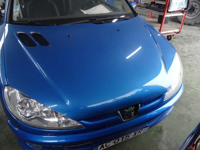 Capot pour PEUGEOT 206 SW