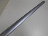 Baguette de porte avant gauche pour PEUGEOT 206 PHASE 1