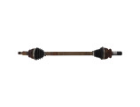 Cardan arriere droit (transmission) pour JAGUAR XF 1 PHASE 1