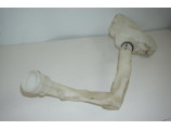 Vase de lave glace pour PEUGEOT 208 1 PHASE 1