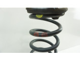 Ressort de suspension arriere gauche pour CHEVROLET CAPTIVA PHASE 2