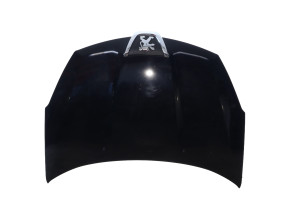 Capot pour PEUGEOT 4007 Capot pour PEUGEOT 4007