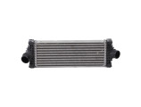 Echangeur air (Intercooler) pour FORD TRANSIT 5 PHASE 2