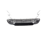 Grille de pare choc pour RENAULT ZOE 1